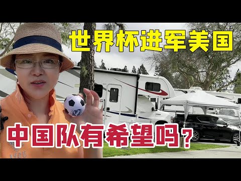 世界杯盛宴,彩金攻略大,揭秘让球技,胜利体育,彩票平台,在线投注,彩票预测,数据分析
