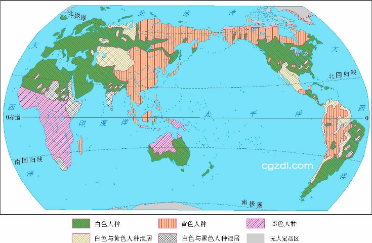 世界杯狂欢,双喜同庆,独家揭秘必,胜利体育,彩票平台,在线投注,彩票预测,数据分析