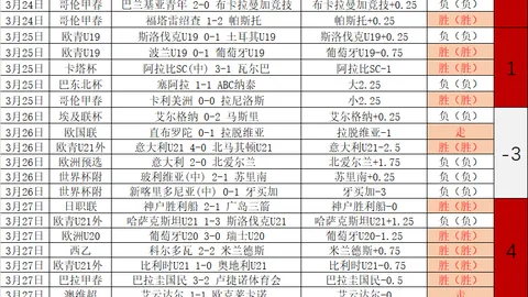 2025年歐洲杯主办国信息解读